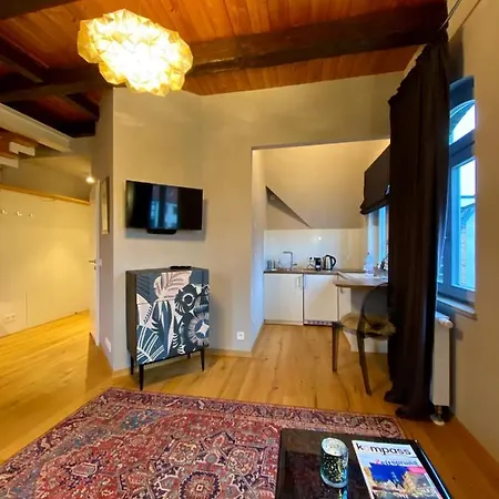 Apartmenthaus Am Dom Maisonette Mit Parkplatz 茨维考