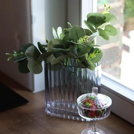 Apartmenthaus Am Dom Maisonette Mit Parkplatz 公寓 茨维考